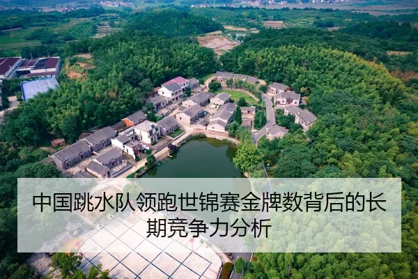 中国跳水队领跑世锦赛金牌数背后的长期竞争力分析